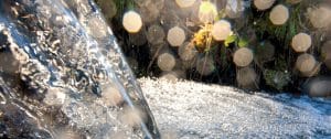 The Making of Whisky
